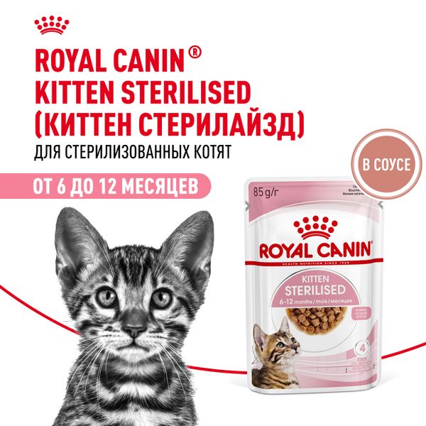 Пауч Royal Canin Kitten Sterilised для кастрированных и стерилизованных котят (в возрасте от 6 до 12 месяцев), мелкие кусочки в соусе