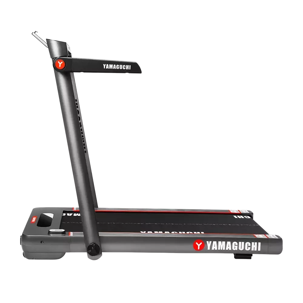 Беговая дорожка Yamaguchi Home RACE