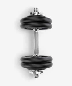 Гантель разборная чугунная в коробке DB-715, 12 кг