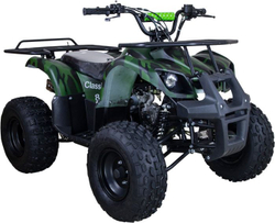 Квадроцикл RAPTOR ATV 200U Premium ALL 200cc 4Т