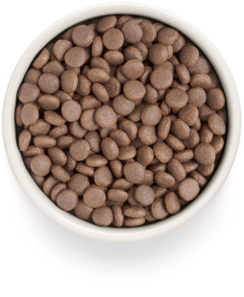 Grandorf Fresh Dog Potato корм сухой беззерновой для собак средних и крупных пород индейка,батат