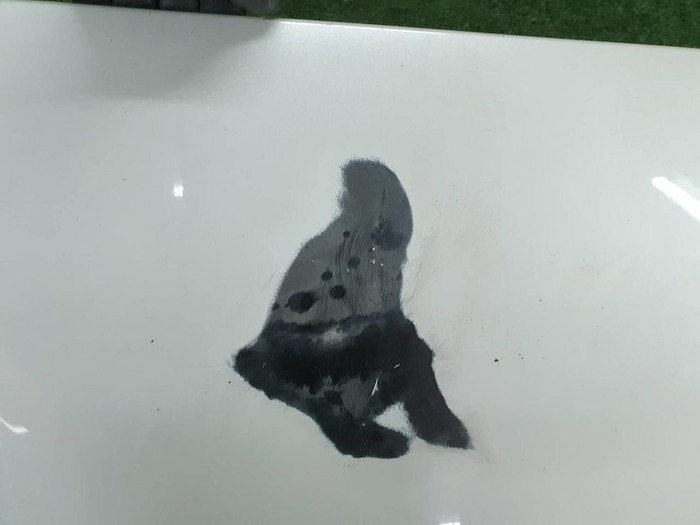 Спойлер крышки багажника Toyota RAV4 5 XA50 (2018-н.в.)