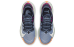 Кроссовки Nike Pegasus Trail 2 (Женская размерная сетка)