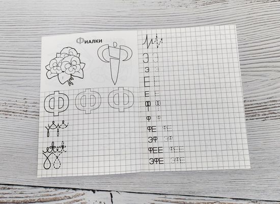 Набор книг Готовимся к школе, учимся писать 8 шт