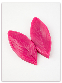 Лист катарантуса