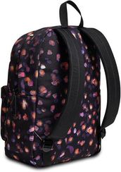 Çanta \ Bag \ Рюкзак  Carlson Fantasy İnvicta Backpack Grs