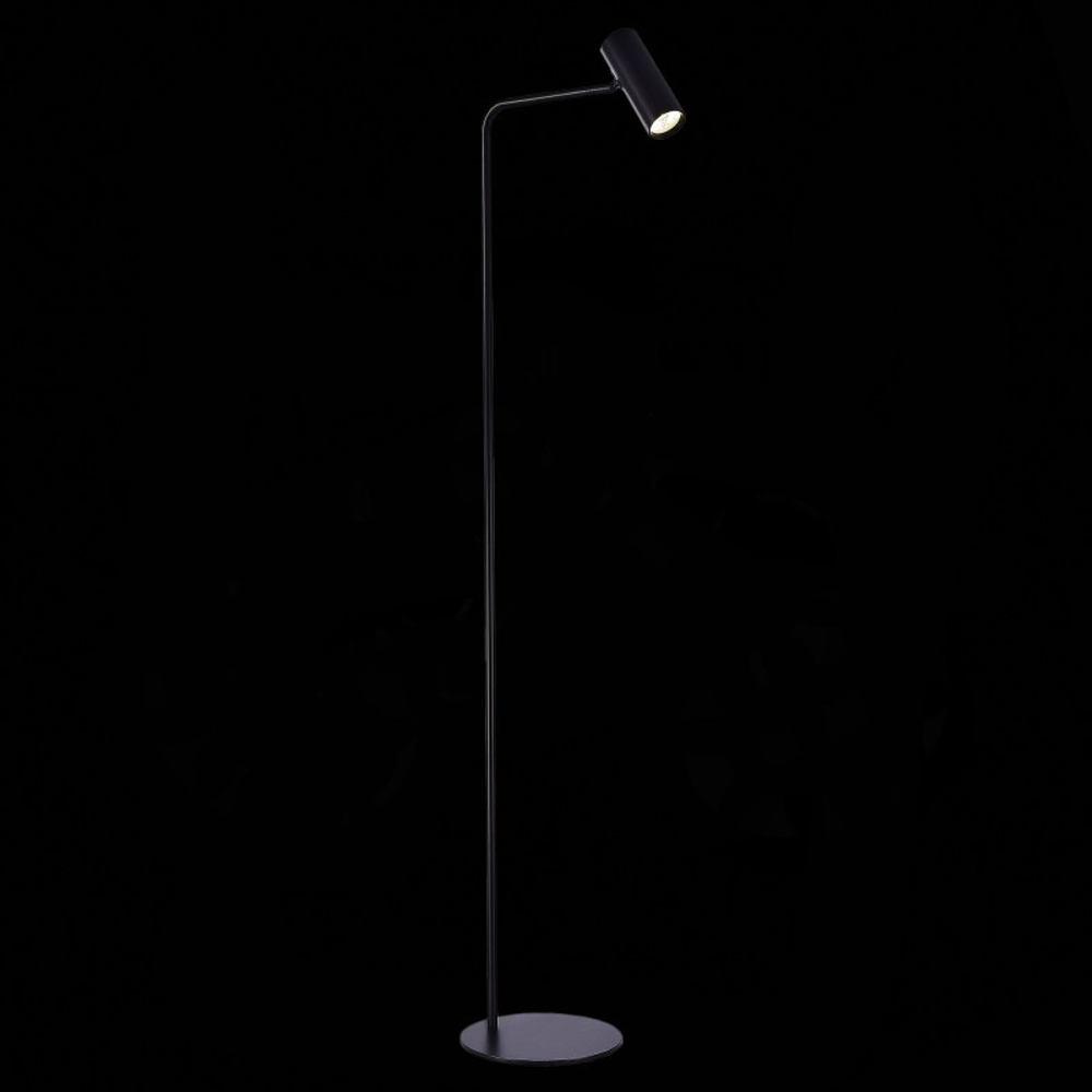 Торшер ST-Luce SL1006.405.01