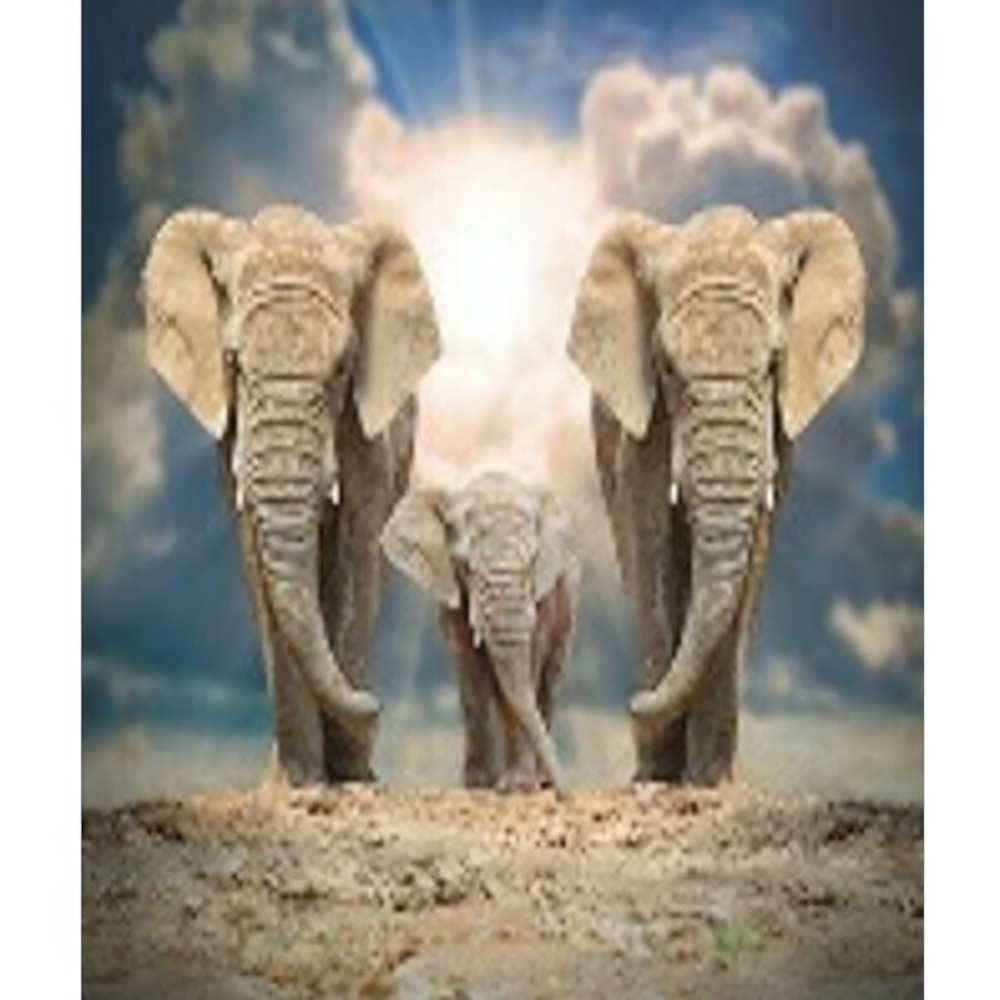 Штора для ванной комнаты Фотопринт 180*180 "СЛОНЫ" с кольцами 461390