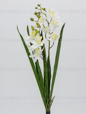 Орхидея Цимбидиум в букете