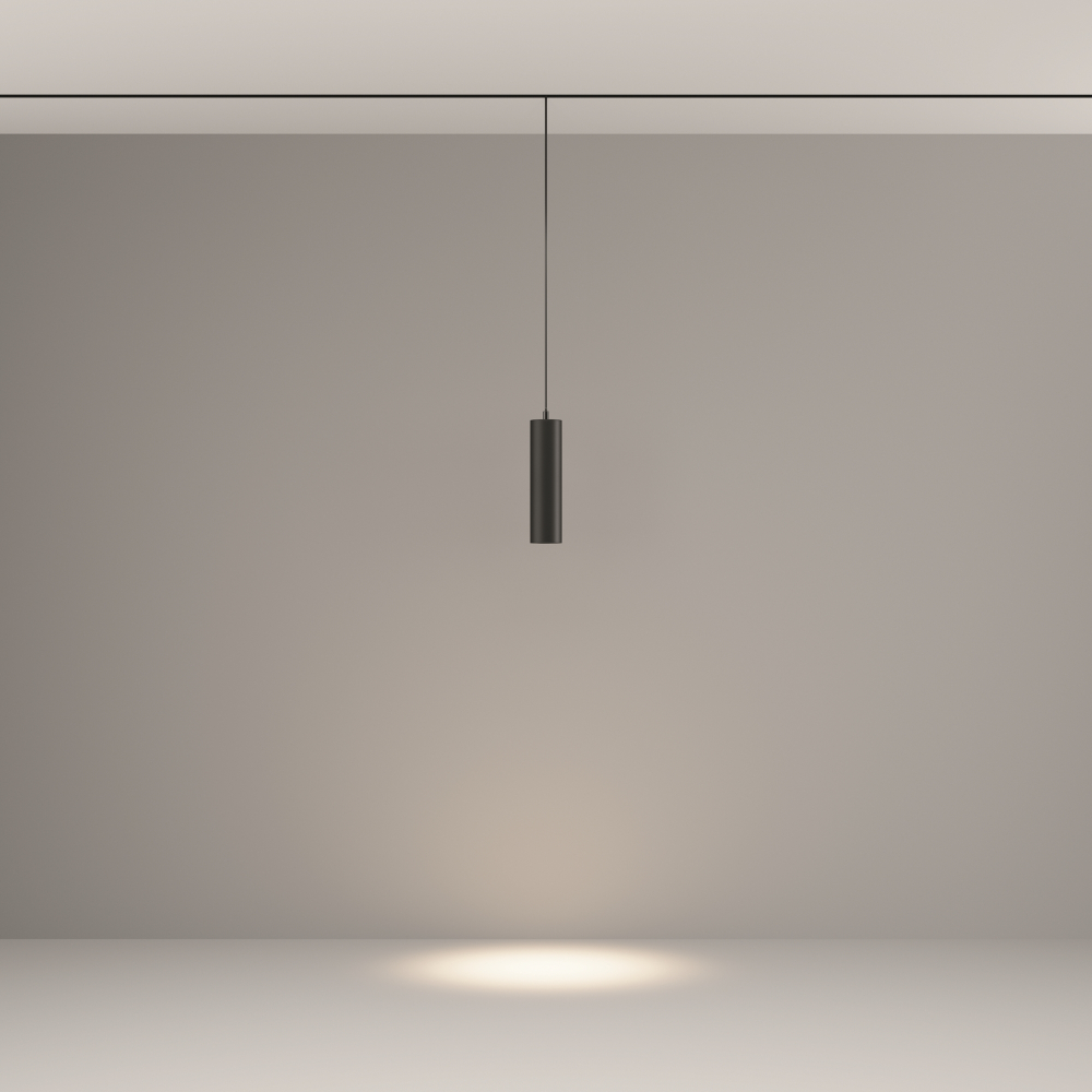 Трековый подвесной светильник Technical TR041-2-12W4K-B