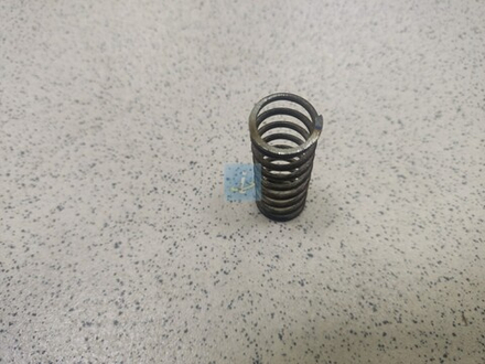 Пружина 238-1601102