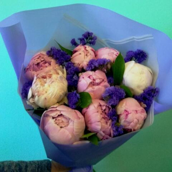 Букет 9 пионов Сара Бернар со статицей