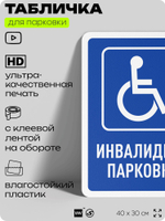 Табличка для парковки "Инвалидная парковка", для дома, офиса, организаций, 40х30 см, Silver Plane x Айдентика Технолоджи