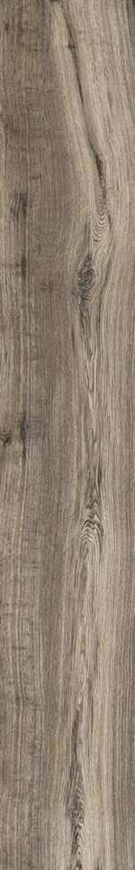 Rondine Living Cenere 15x100