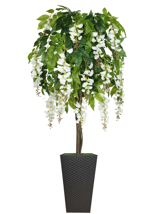 Искусственное дерево Акация белая 180см в высоком коричневом кашпо ротанг