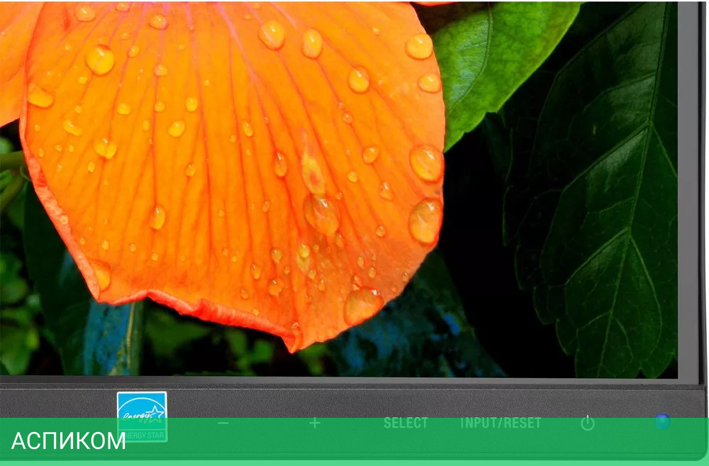 Монитор NEC MultiSync E271N-BK