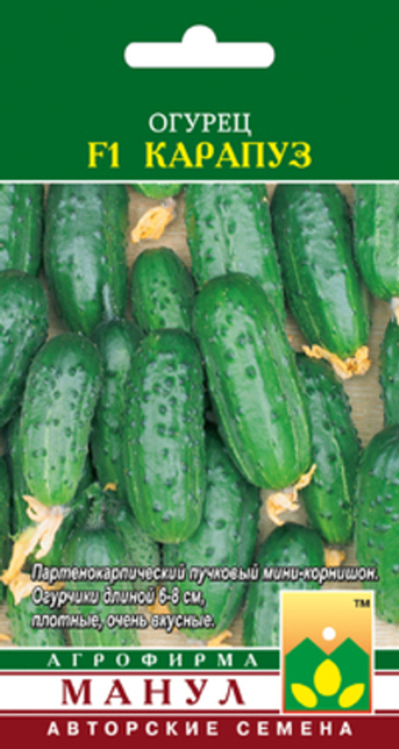 Огурец Карапуз Манул
