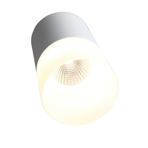 ST100.502.10 Светильник потолочный Белый LED 1*10W 3000K 780Lm Ra>80 120° D78xH135 170-240V Накладные светильники