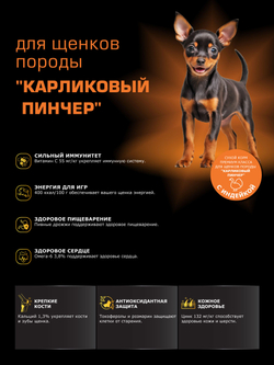 Корм сухой для щенков породы Карликовый пинчер, с индейкой, 3 кг, QUATTRO
