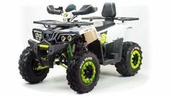 Квадроцикл MOTOLAND 200 Wild Track Lux ( Баланс. вал) (2021 Г.)