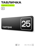 Таблички с номером аудитории "Аудитория №25", для офиса, 30 х 10 см, серия COSMO 3010, черная, Айдентика Технолоджи