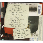 The Libertines / Anthems For Doomed Youth (CD)