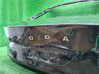 Крышка багажника Skoda Octavia A8 (2019-2024)