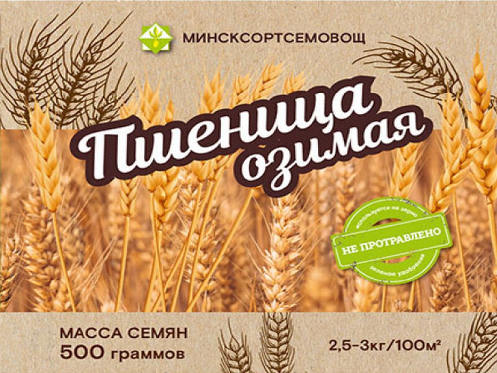 Пшеница озимая &quot;Аркадия 1&quot; 0,5кг, Беларусь.