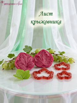 Лист крыжовника