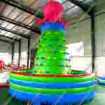 Скалодром "Солнечный осьминог" 5*5*4 м