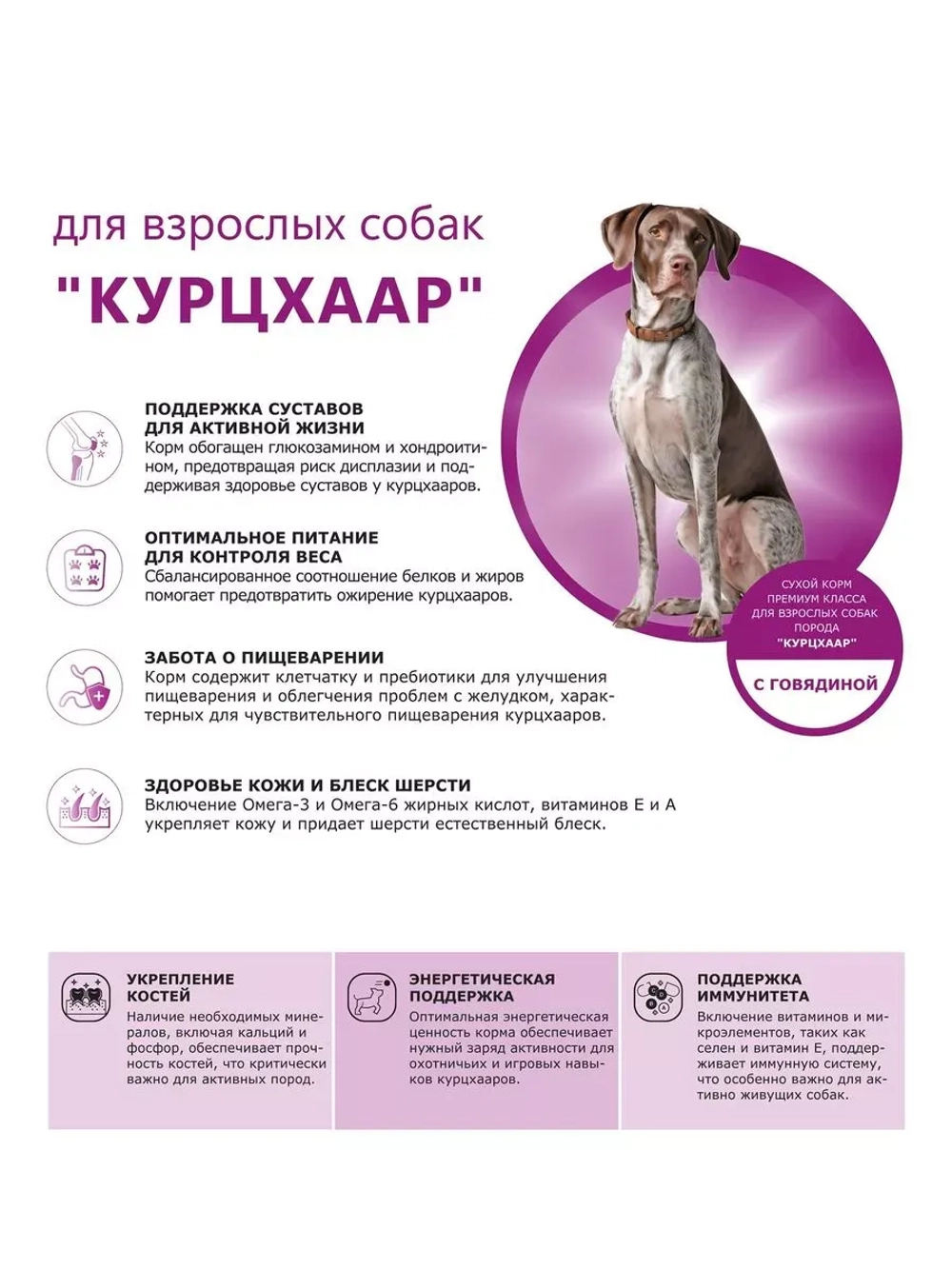 Сухой корм для собак породы Курцхаар, с говядиной, 2,5 кг