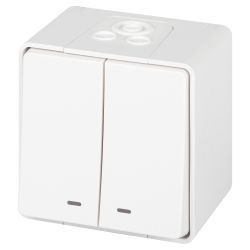 Выключатель ЭРА Эксперт 11-1505-01 двойной с подсветкой IP55 10АХ-250В ОУ белый | Эра Эксперт