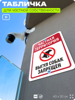 Табличка для частной территории "Частная территория, выгул собак запрещен", на дом, для участка, организаций, предупреждающая, 40х30 см, Silver Plane x Айдентика Технолоджи