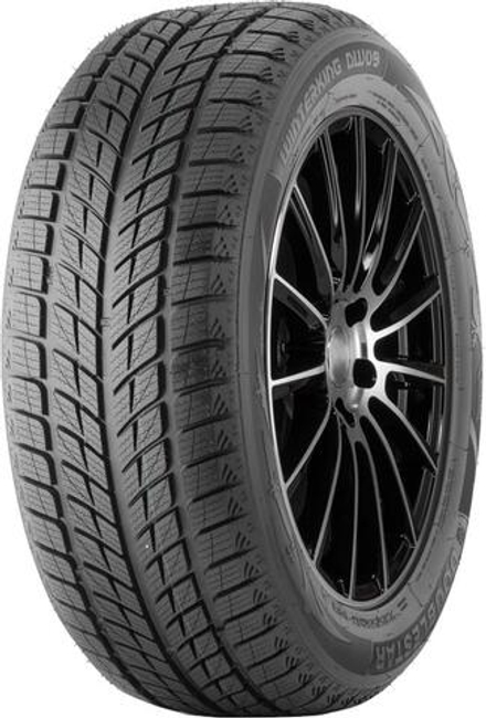Double Star Winterking DW09 255/55 R18 109T
