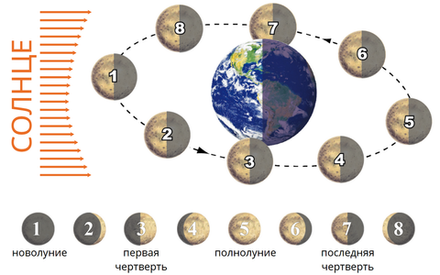 Наглядная география. 5 – 6 классы