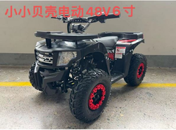 Электроквадроцикл Ikingi 48V 12Ah