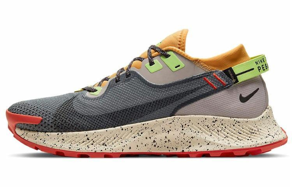Кроссовки Nike Pegasus Trail 2 Gore-Tex