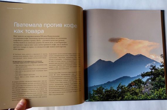 Кофеология. История кофе: от плода до вдохновляющей чашки