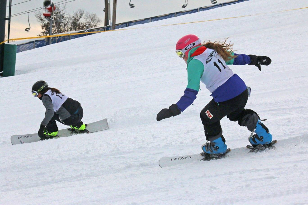 Пластины Apex Gecko Plate Carve (с пробегом)
