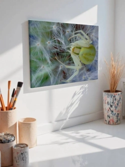 Картина на стену 40 X 50 Паук