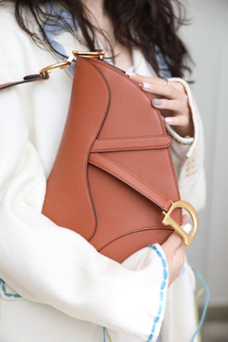 Christian Dior Saddle Bag 25 cm