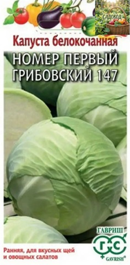 Капуста белокочанная №1 ГРИБОВСКИЙ 147 (ранняя) цв.пак. 1гр.Гавриш.
