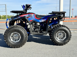 Квадроцикл GBM MAVERICK 222 NEW