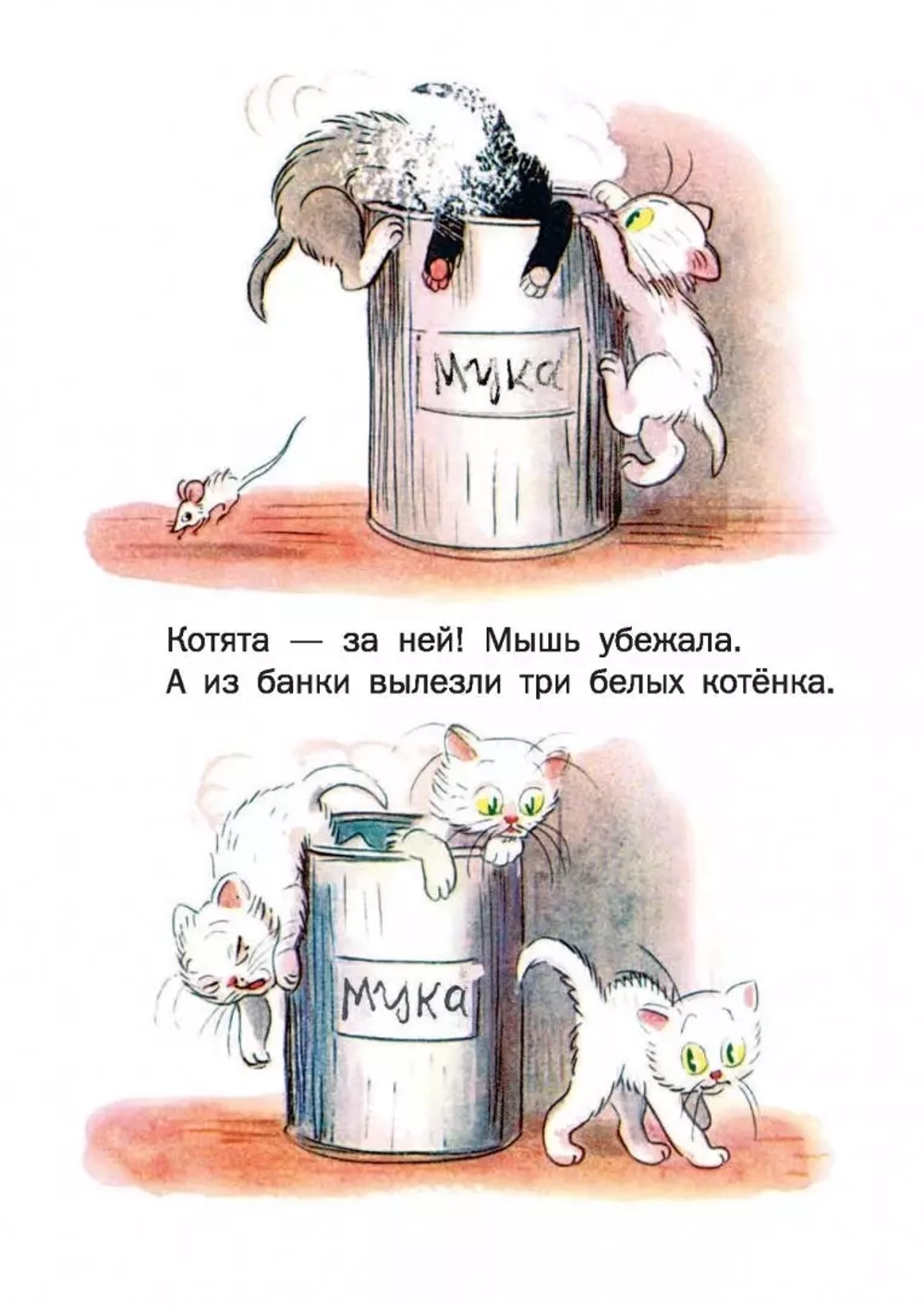 Сказки. Сутеев