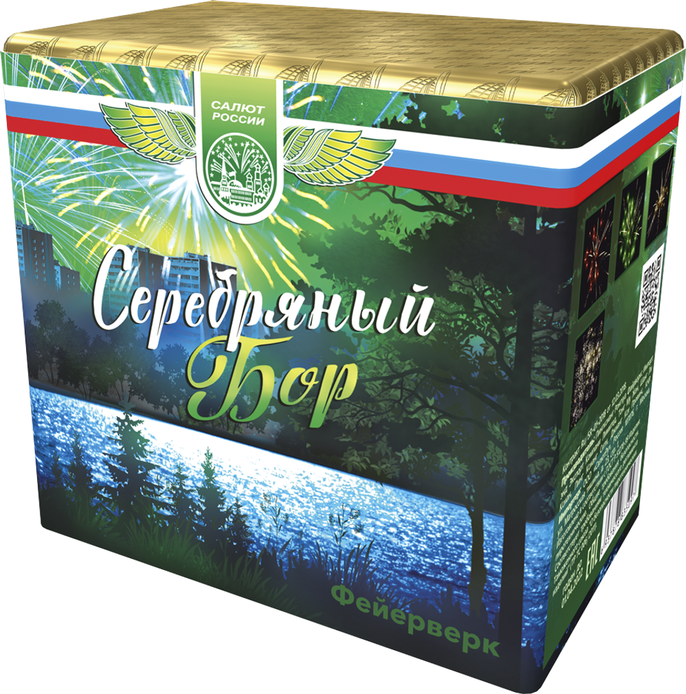 Серебряный бор 12/1