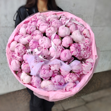 51 пион сорта "Сара Бернар" в "облачке"