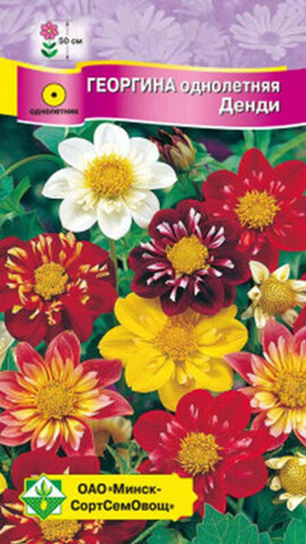 Георгина "Денди" 0.3г., Германия.