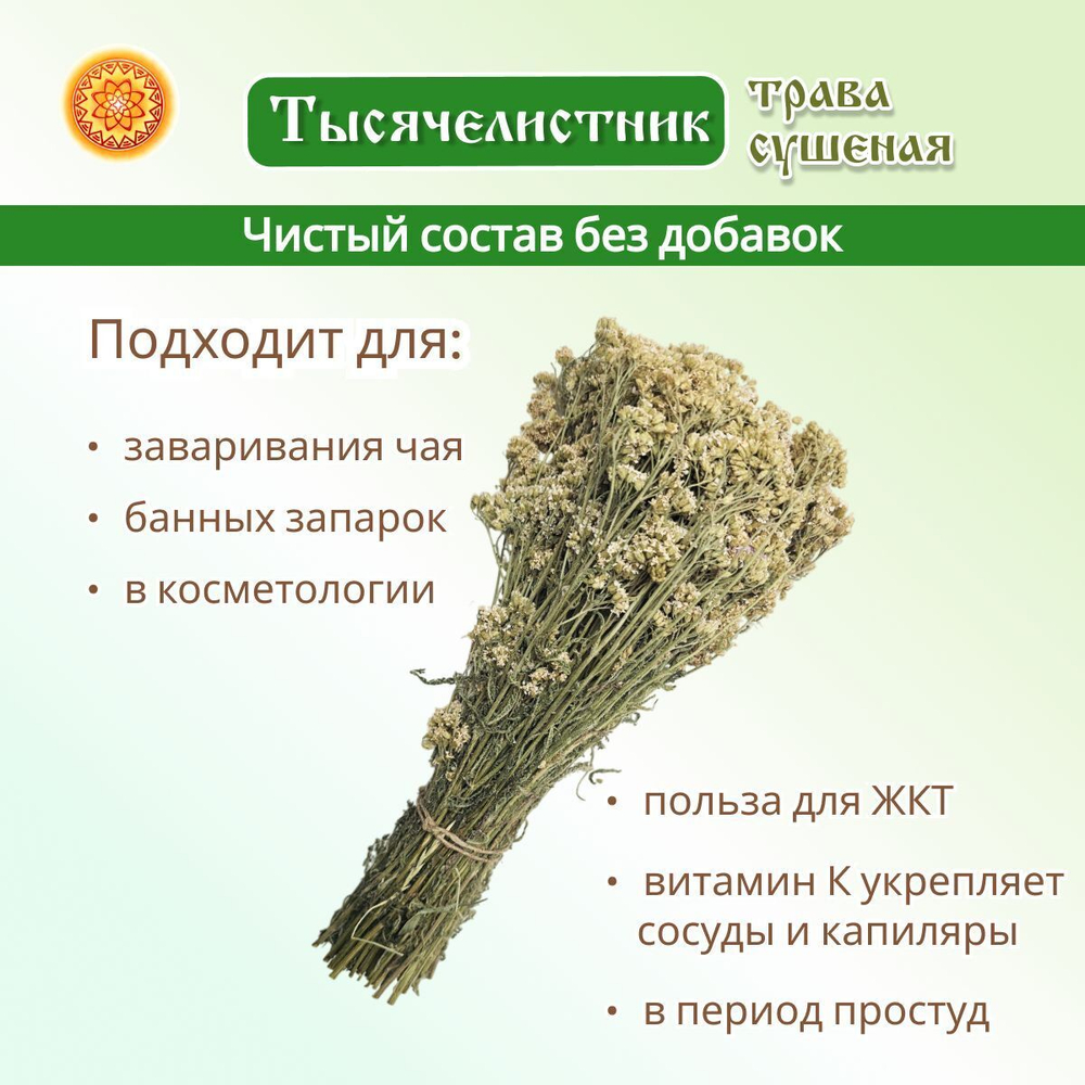 Тысячелистник пучок.