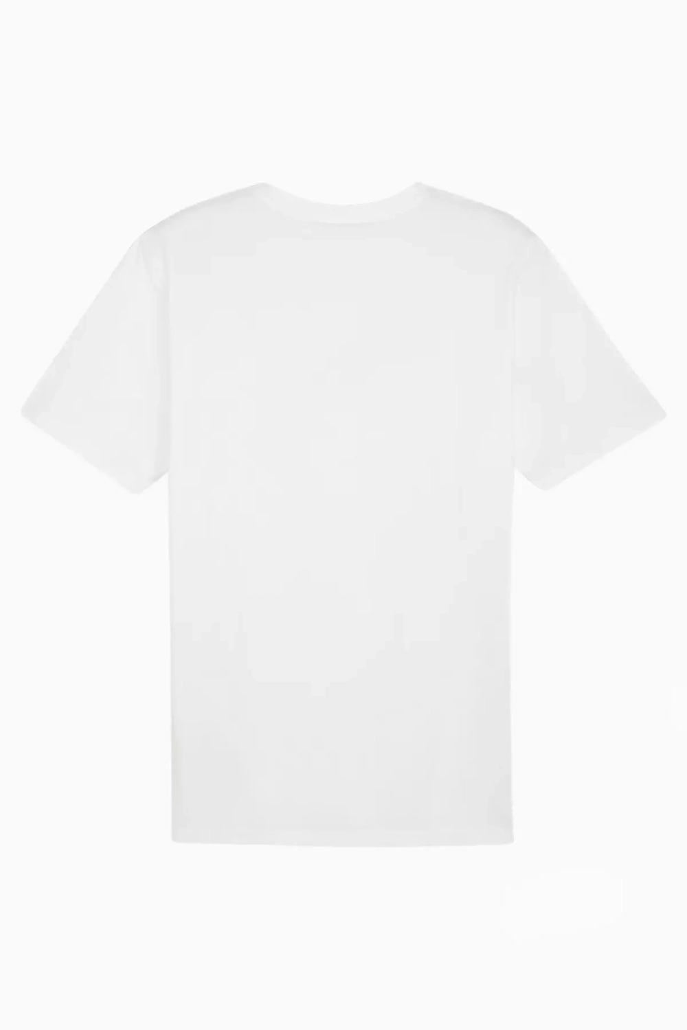 Футболка Puma teamRISE Logo