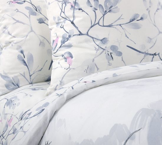 Семейный комплект постельного белья Гравюра перкаль